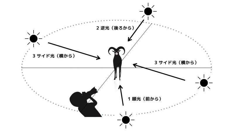 ミラーレス,一眼,カメラ,写真,教室,初心者,使い方,撮り方,光の方向