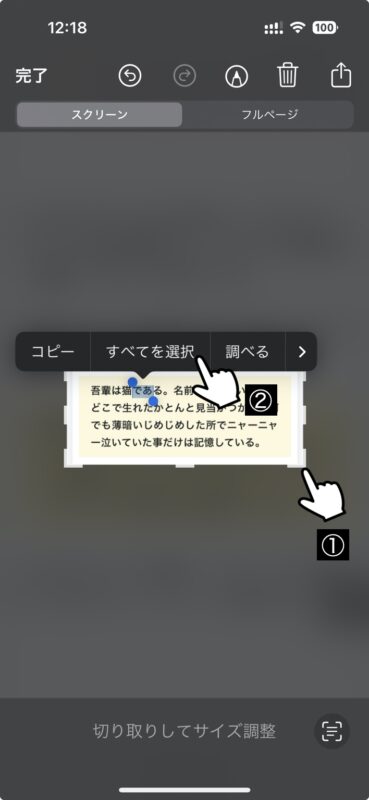 iPhoneで カメラや画像の文字を読み取ってテキスト化（OCR・テキスト認識表示）＋ スクショ→テキスト化の使い方 – 初心者さんにやさしい ...