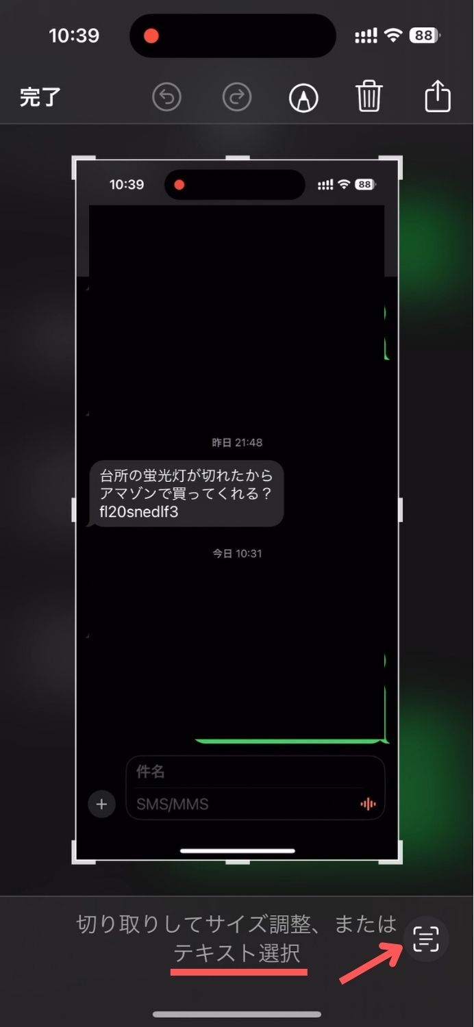 iPhone,SMS,ショート,メッセージ,テキスト,部分,選択,コピー