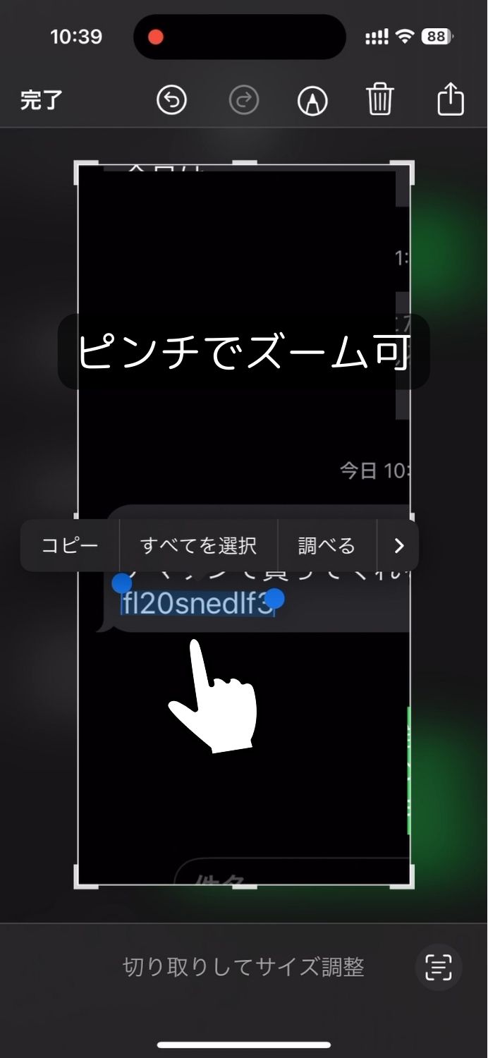 iPhone,SMS,ショート,メッセージ,テキスト,部分,選択,コピー