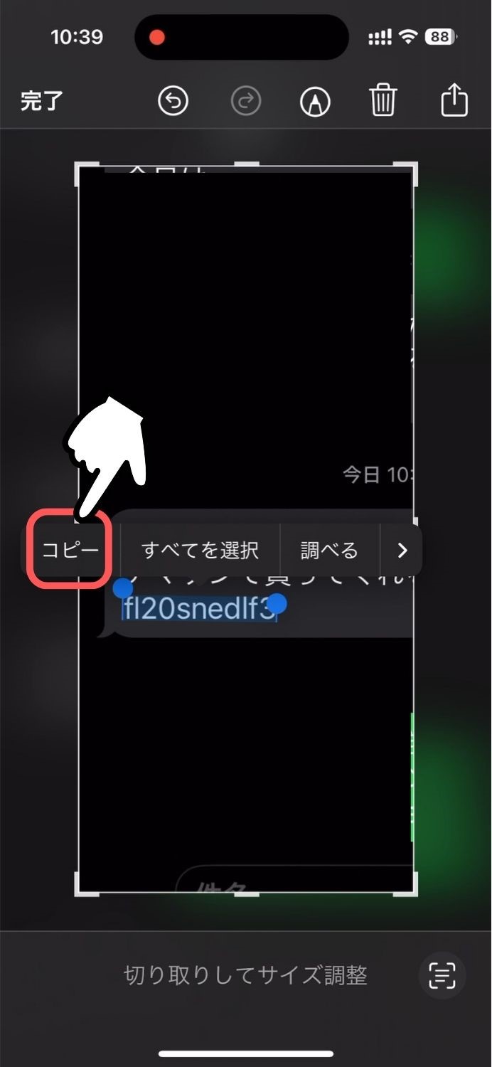 iPhone,SMS,ショート,メッセージ,テキスト,部分,選択,コピー