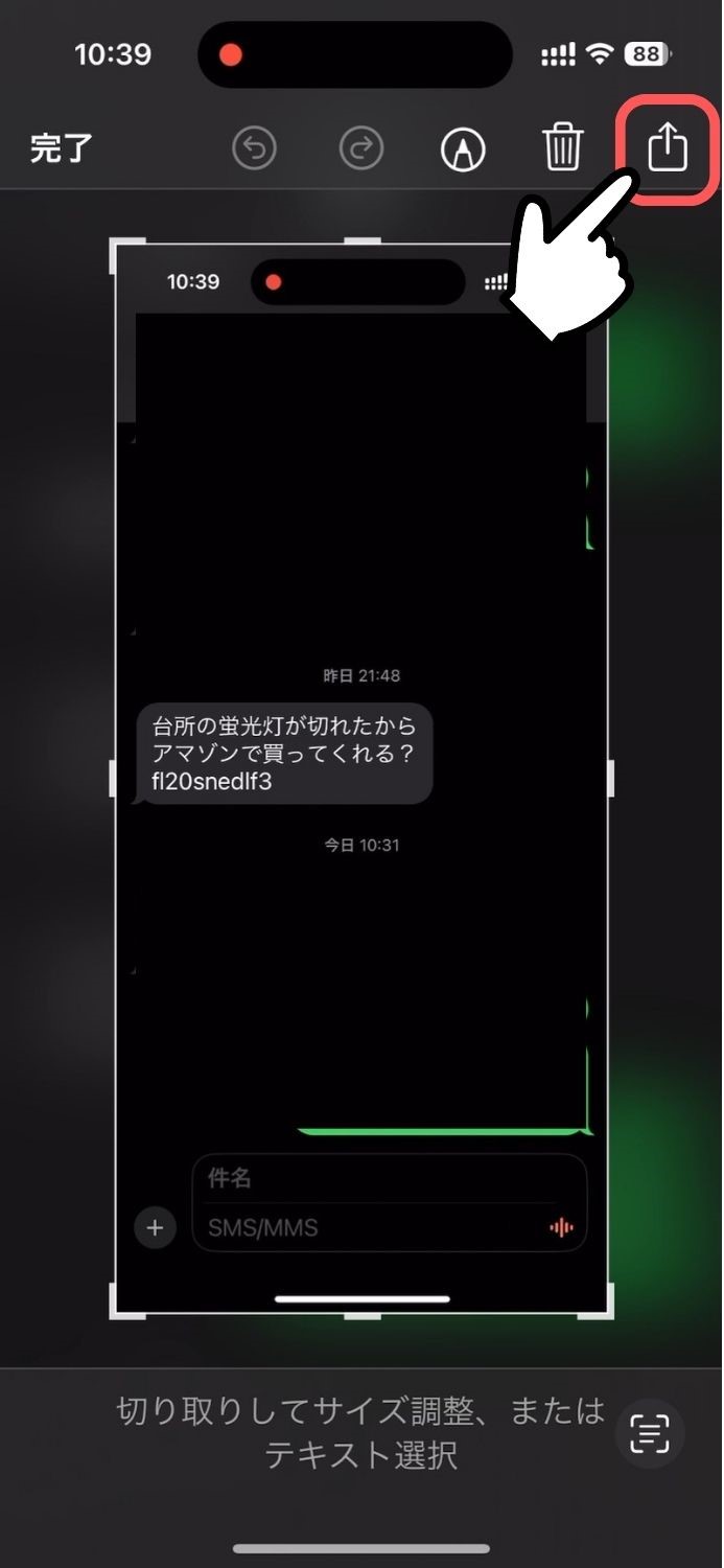 iPhone,SMS,ショート,メッセージ,テキスト,部分,選択,コピー