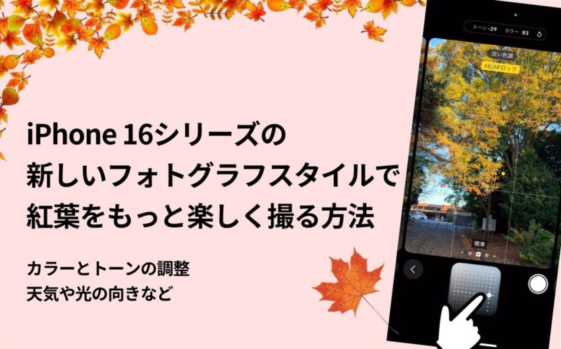 iPhone,16,フォトグラフスタイル,紅葉,おすすめ,設定,