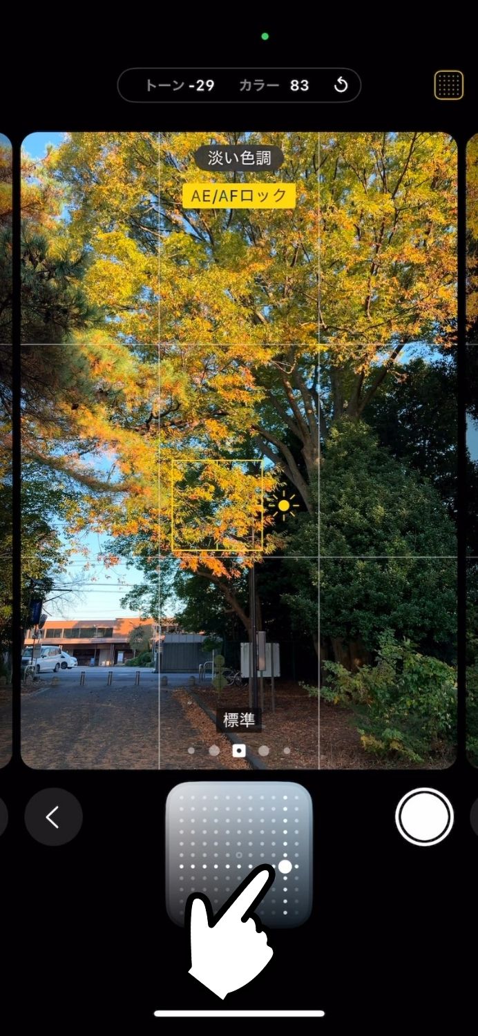 iPhone,16,フォトグラフスタイル,紅葉,おすすめ,設定,