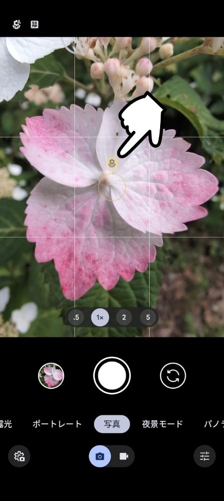 スマホ,Pixel,iPhone,マクロ,使い方,要らない,接写