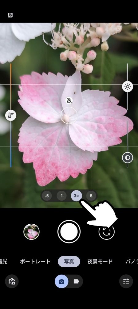 スマホ,Pixel,iPhone,マクロ,使い方,要らない,接写