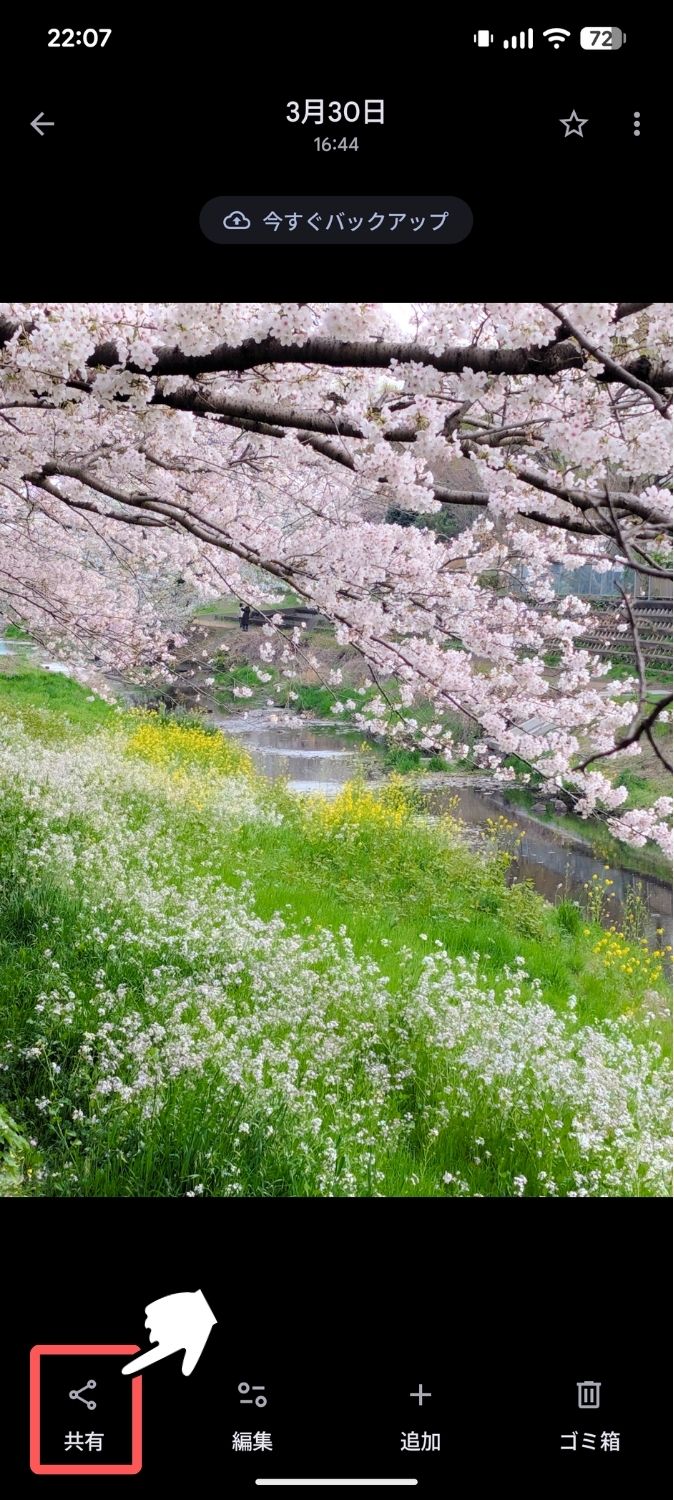 Pixel,Googleフォト,共有,クイック編集,オフ,オン