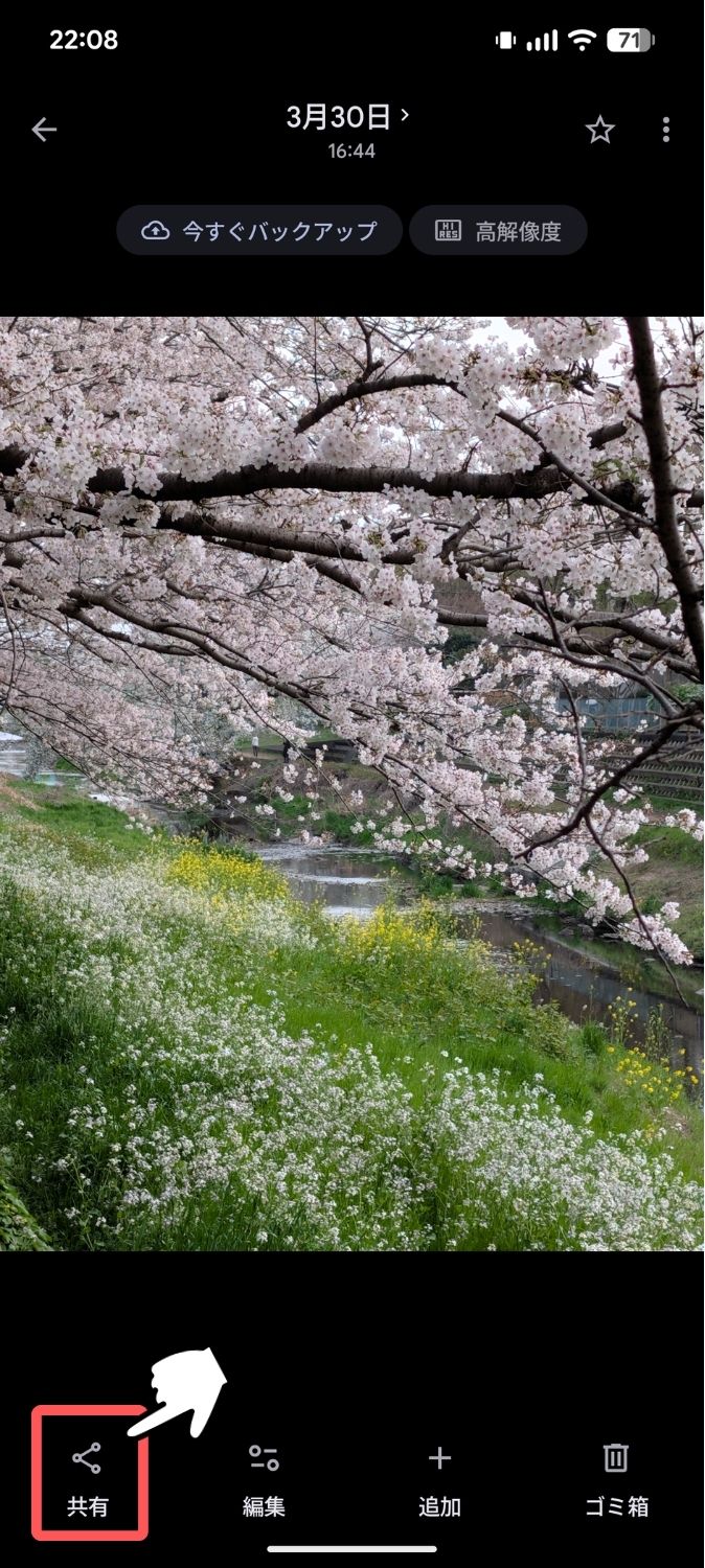 Pixel,Googleフォト,共有,クイック編集,オフ,オン